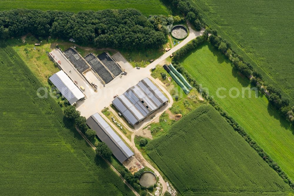 Fredenbeck from the bird's eye view: Barn building on the edge with solar- panels of agricultural fields and farmland in Fredenbeck in the state Lower Saxony, Germany