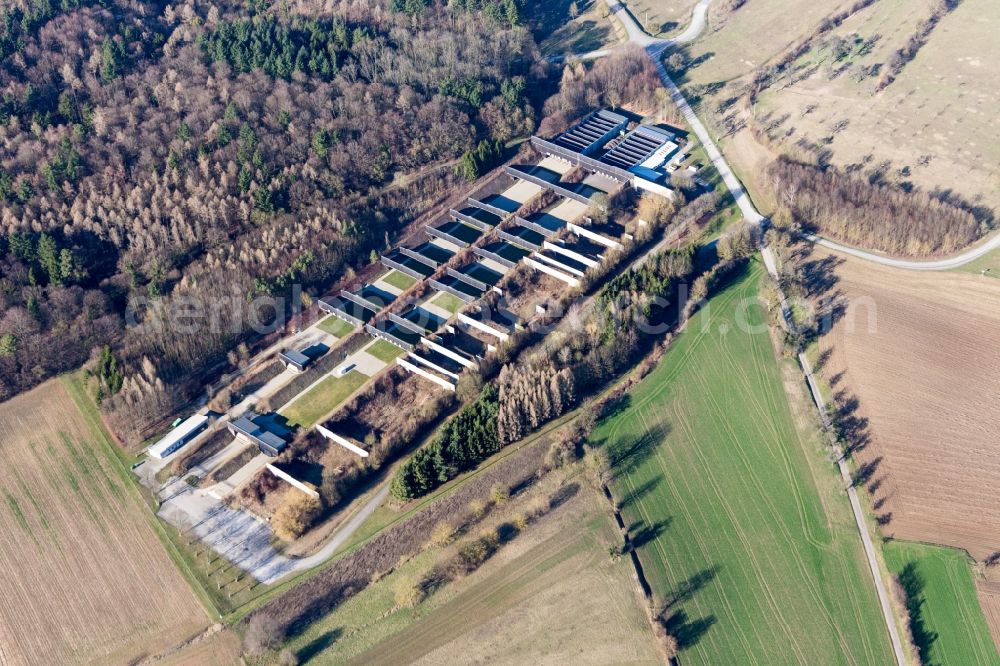 Bruchsal from above - Areal of military training ground StOUebPl Bruchsal in Bruchsal in the state Baden-Wuerttemberg, Germany