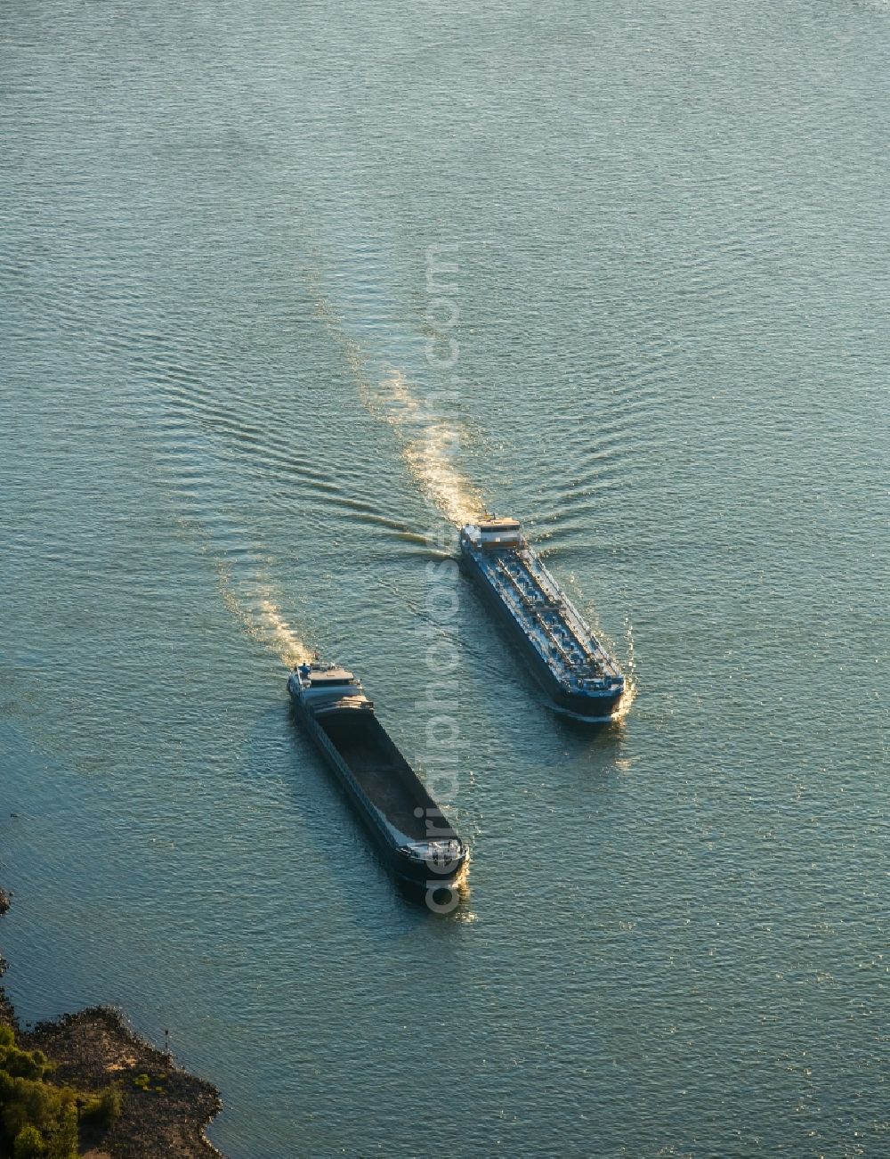 Duisburg from above - Ships and barge trains inland waterway transport in driving on the waterway of the river of rhine in Duisburg in the state North Rhine-Westphalia