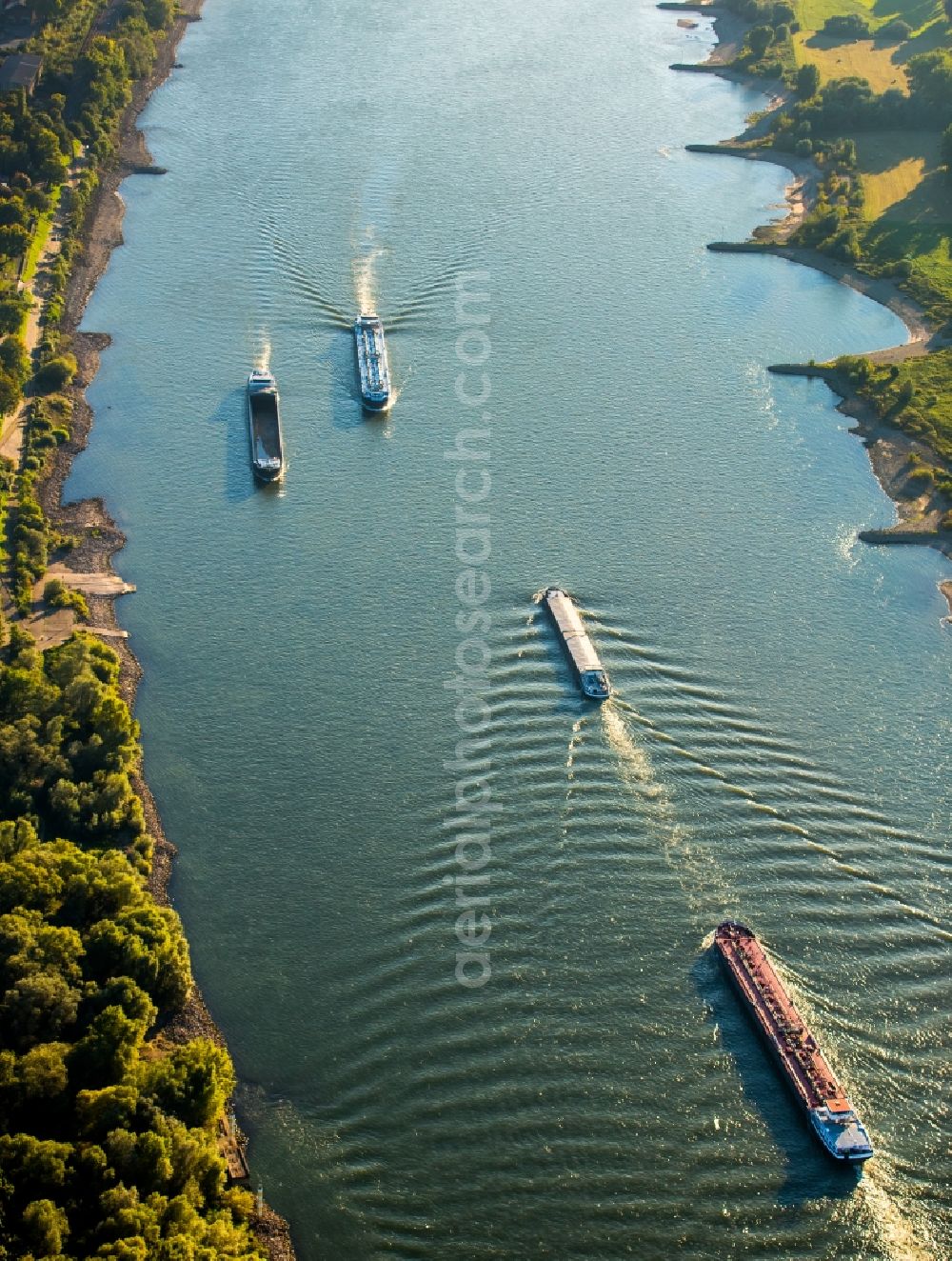 Duisburg from the bird's eye view: Ships and barge trains inland waterway transport in driving on the waterway of the river of rhine in Duisburg in the state North Rhine-Westphalia