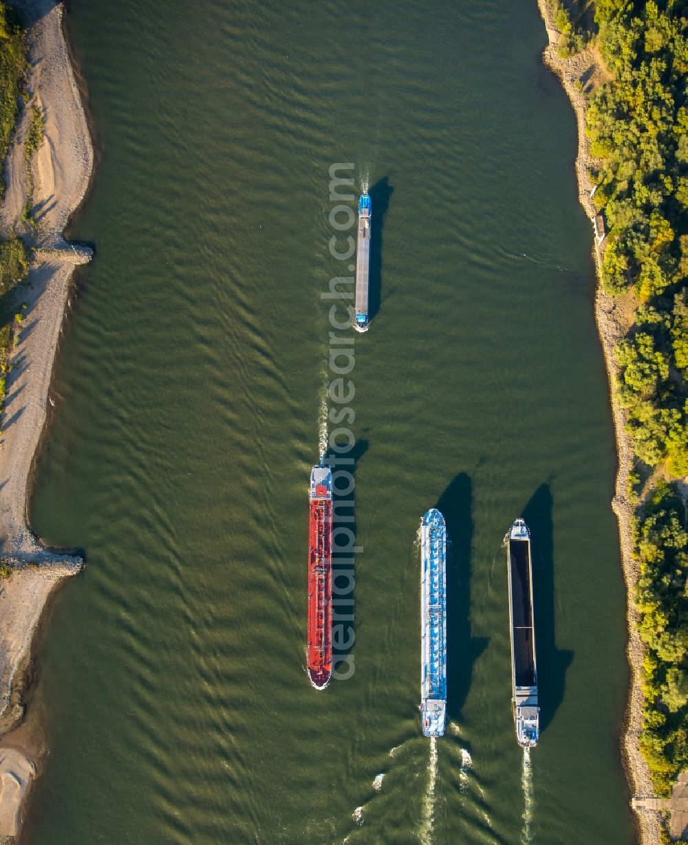 Duisburg from above - Ships and barge trains inland waterway transport in driving on the waterway of the river of rhine in Duisburg in the state North Rhine-Westphalia