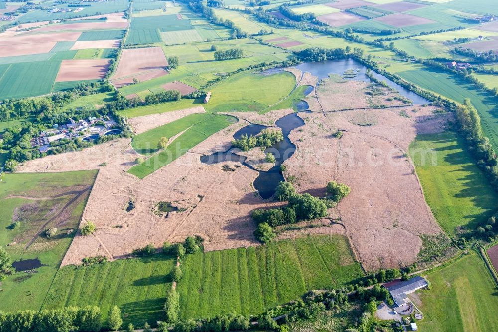 Reinheim from above - Source of water in the nature reserve Rheinheimer Teich in Reinheim in the state Hesse, Germany