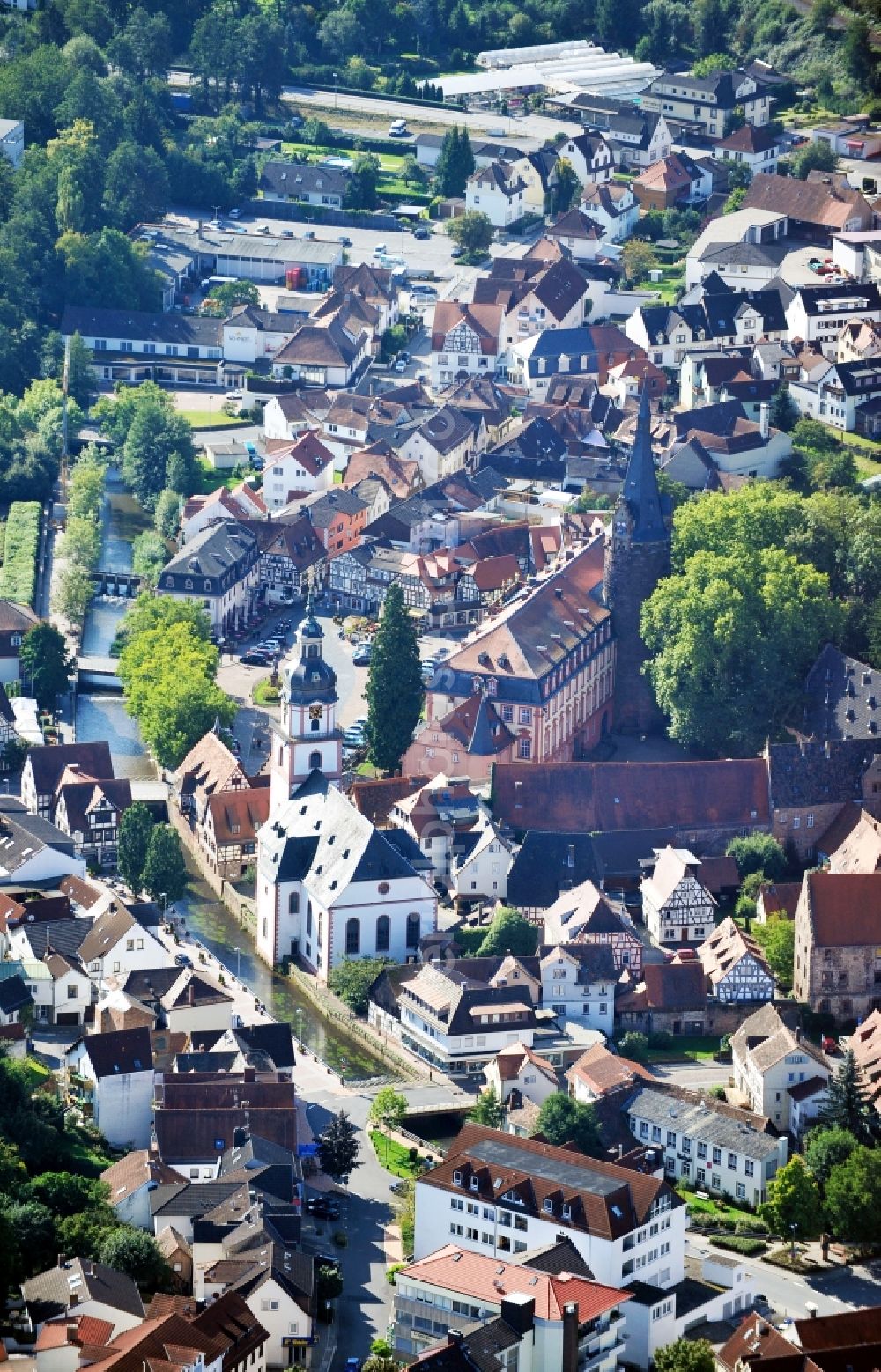 Aerial image Erbach - view of Castle Erbach in Erbach ( Odenwald ) in Hesse