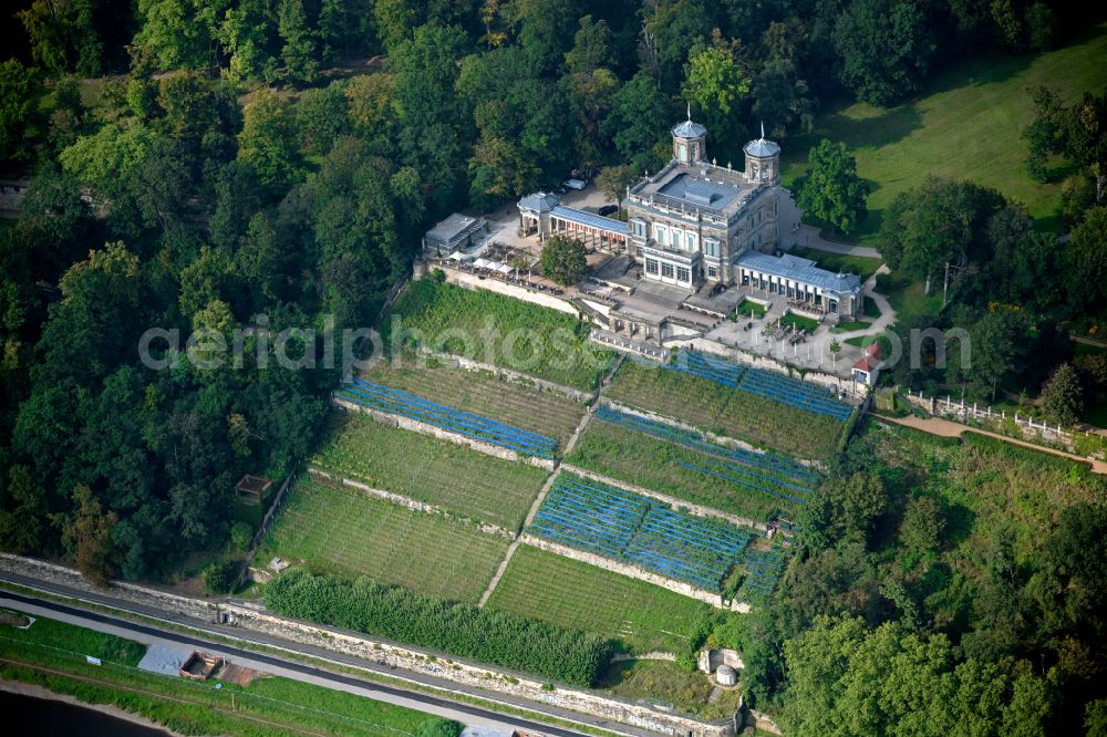 Dresden from the bird's eye view: Elbe castles - building complex built on the terraced slope of the Elbe in the castle park of the Lingnerschloss castle in the Loschwitz district of Dresden in the state of Saxony, Germany