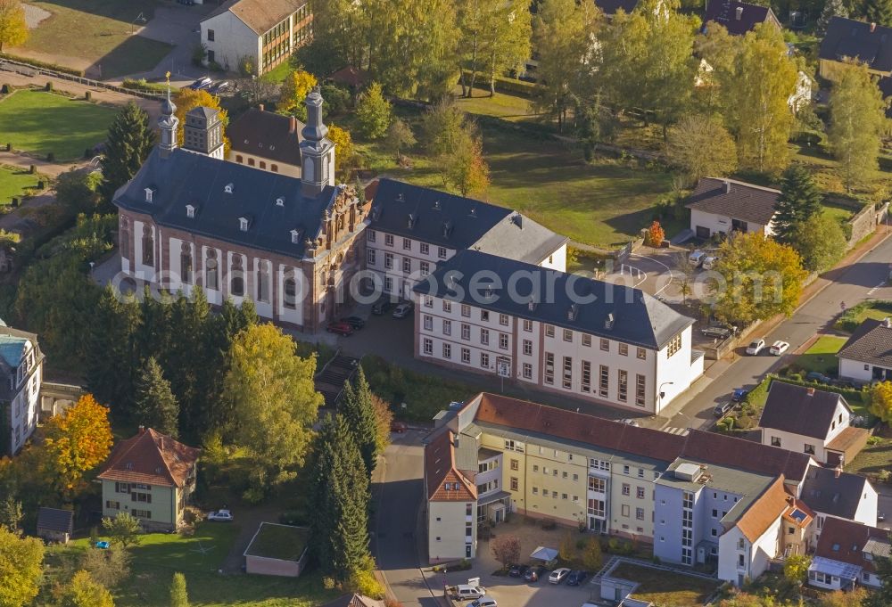 Blieskastel from the bird's eye view: Castle and Castle Park in Blieskastel in Saarland