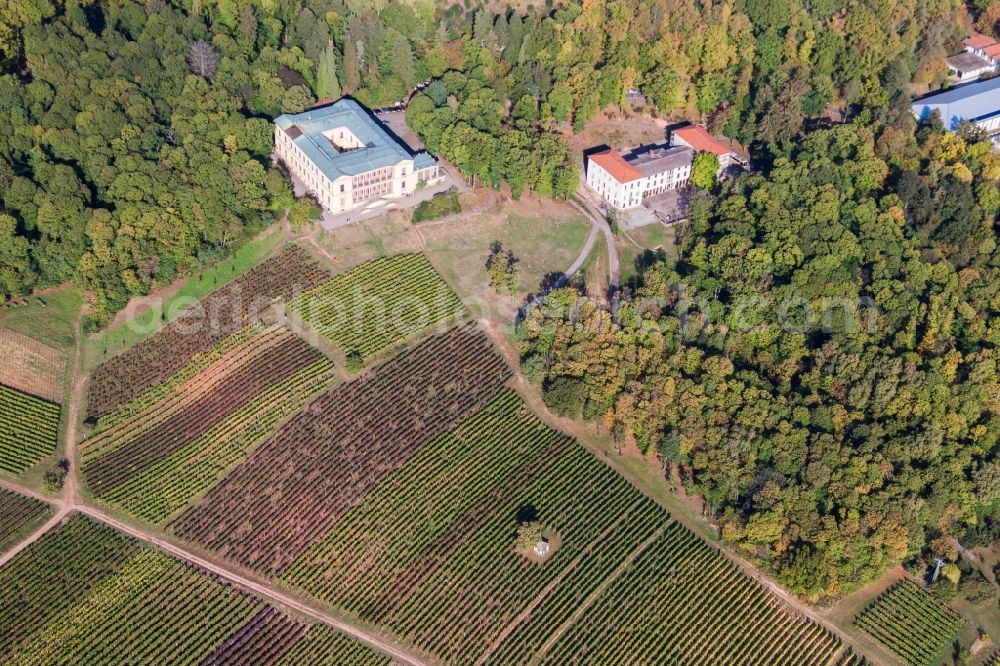 Aerial image Edenkoben - Castle of Schloss Villa Ludwigshoehe in Edenkoben in the state Rhineland-Palatinate, Germany