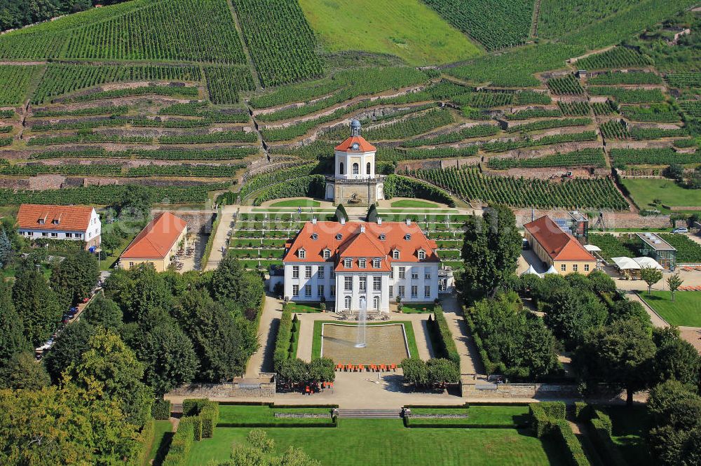 Radebeul from the bird's eye view: Das von Weinbergen umgebene Schloß / Schloss Wackerbarth, auch Wackerbarths Ruh, im Stadtteil Niederlößnitz in Radebeul, Sachsen. Castle Wackerbarth in Radebeul, Saxony.