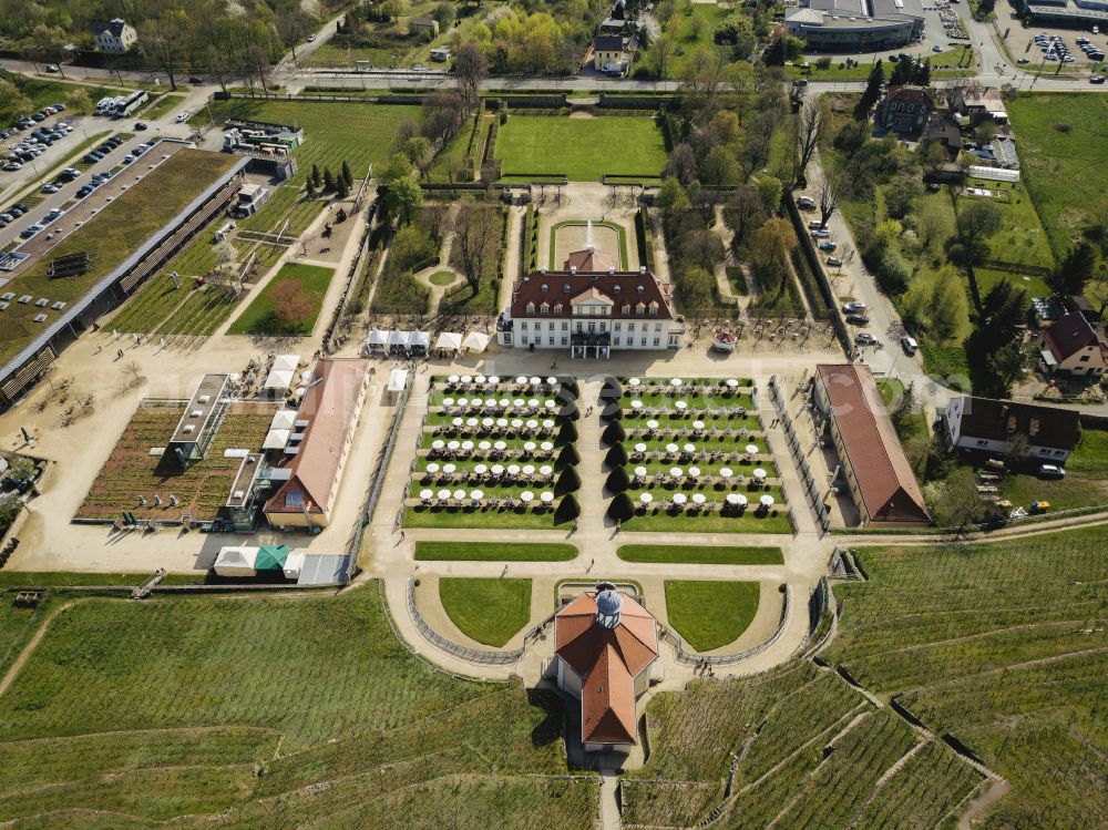 Radebeul from the bird's eye view: Building complex in the park of the castle Wackerbarth on street Wackerbarthstrasse in Radebeul in the state Saxony, Germany