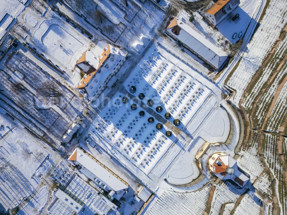 Aerial photograph Radebeul - Building complex in the park of the castle Wackerbarth on street Wackerbarthstrasse in Radebeul in the state Saxony, Germany