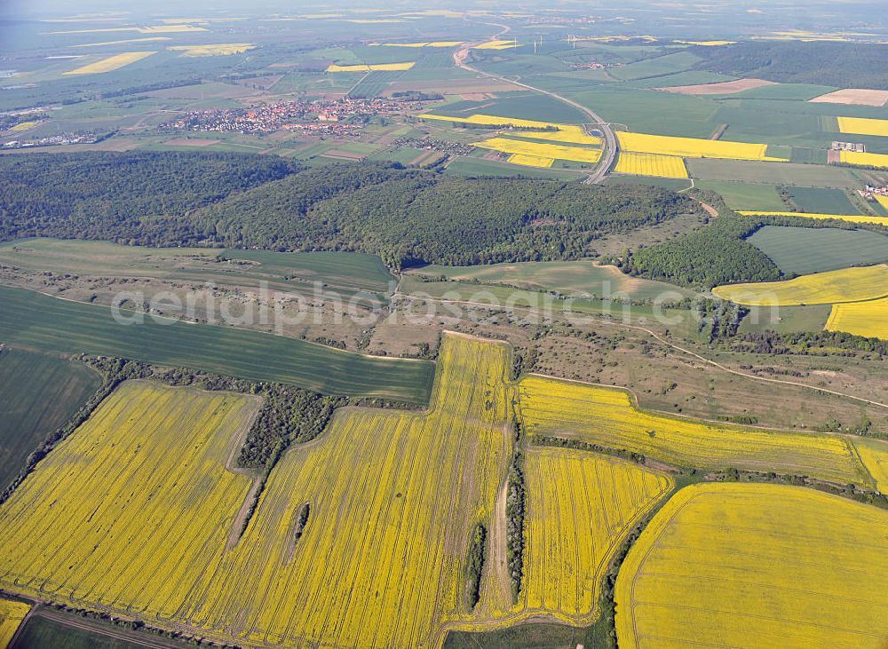 Oberheldrungen from above - Blick auf den mit Raps- Feldern umgebenen Schmücketunnel im Bereich der neuen Trassenführung der Autobahn A71 südwestlich von Harras / Oberheldrungen in Thüringen nach der Verkehrsfreigabe. SCHÜßLER PLAN, BARESEL; KUNZ Bau; Kirchner Bau in Projektdurchführung durch die DEGES Deutsche Einheit Fernstraßenplanungs- und -bau GmbH.View of the Schmücketunnel in the new route of the A71 motorway southwest of Harass / Oberheldrungen in Thuringia after the opening to traffic.