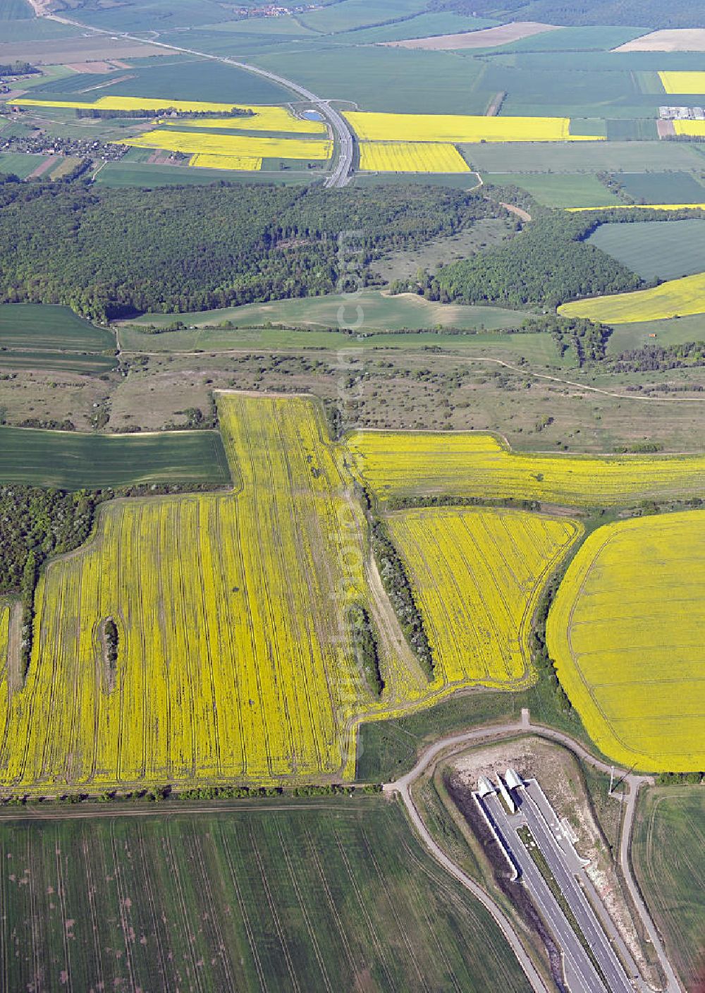 Oberheldrungen from above - Blick auf den mit Raps- Feldern umgebenen Schmücketunnel im Bereich der neuen Trassenführung der Autobahn A71 südwestlich von Harras / Oberheldrungen in Thüringen nach der Verkehrsfreigabe. SCHÜßLER PLAN, BARESEL; KUNZ Bau; Kirchner Bau in Projektdurchführung durch die DEGES Deutsche Einheit Fernstraßenplanungs- und -bau GmbH.View of the Schmücketunnel in the new route of the A71 motorway southwest of Harass / Oberheldrungen in Thuringia after the opening to traffic.