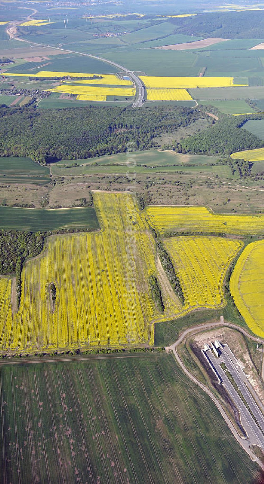 Oberheldrungen from the bird's eye view: Blick auf den mit Raps- Feldern umgebenen Schmücketunnel im Bereich der neuen Trassenführung der Autobahn A71 südwestlich von Harras / Oberheldrungen in Thüringen nach der Verkehrsfreigabe. SCHÜßLER PLAN, BARESEL; KUNZ Bau; Kirchner Bau in Projektdurchführung durch die DEGES Deutsche Einheit Fernstraßenplanungs- und -bau GmbH.View of the Schmücketunnel in the new route of the A71 motorway southwest of Harass / Oberheldrungen in Thuringia after the opening to traffic.