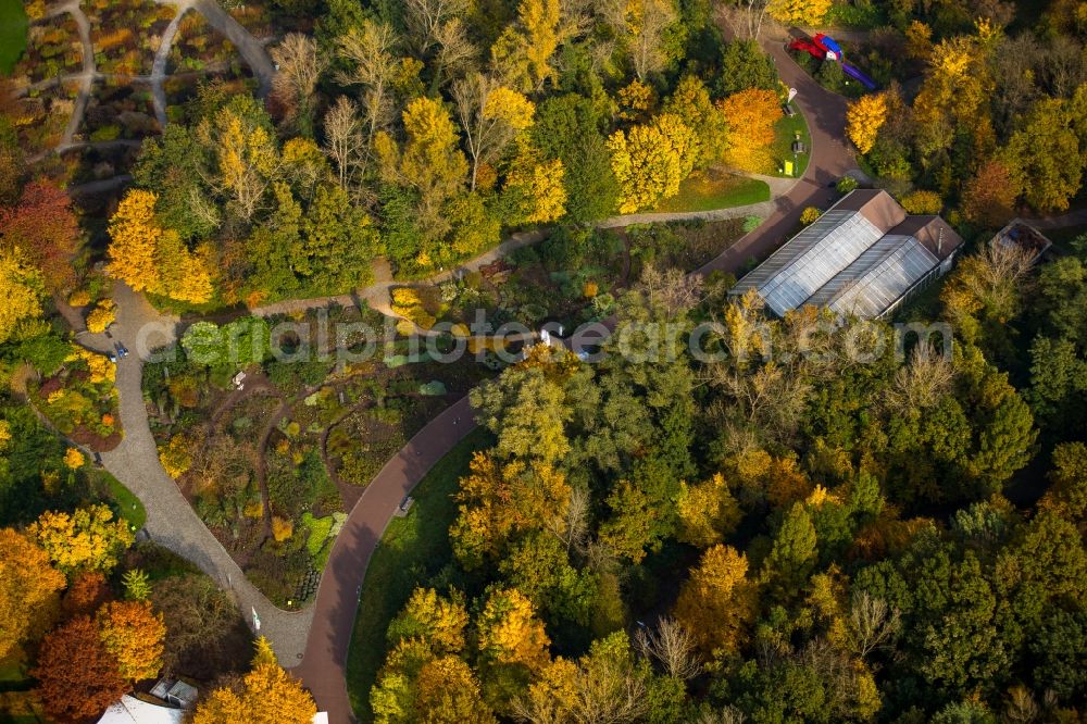 Hamm from above - Butterfly House in the park Maximilianpark on site of the former coal mine Maximilian in Hamm in the state of North Rhine-Westphalia