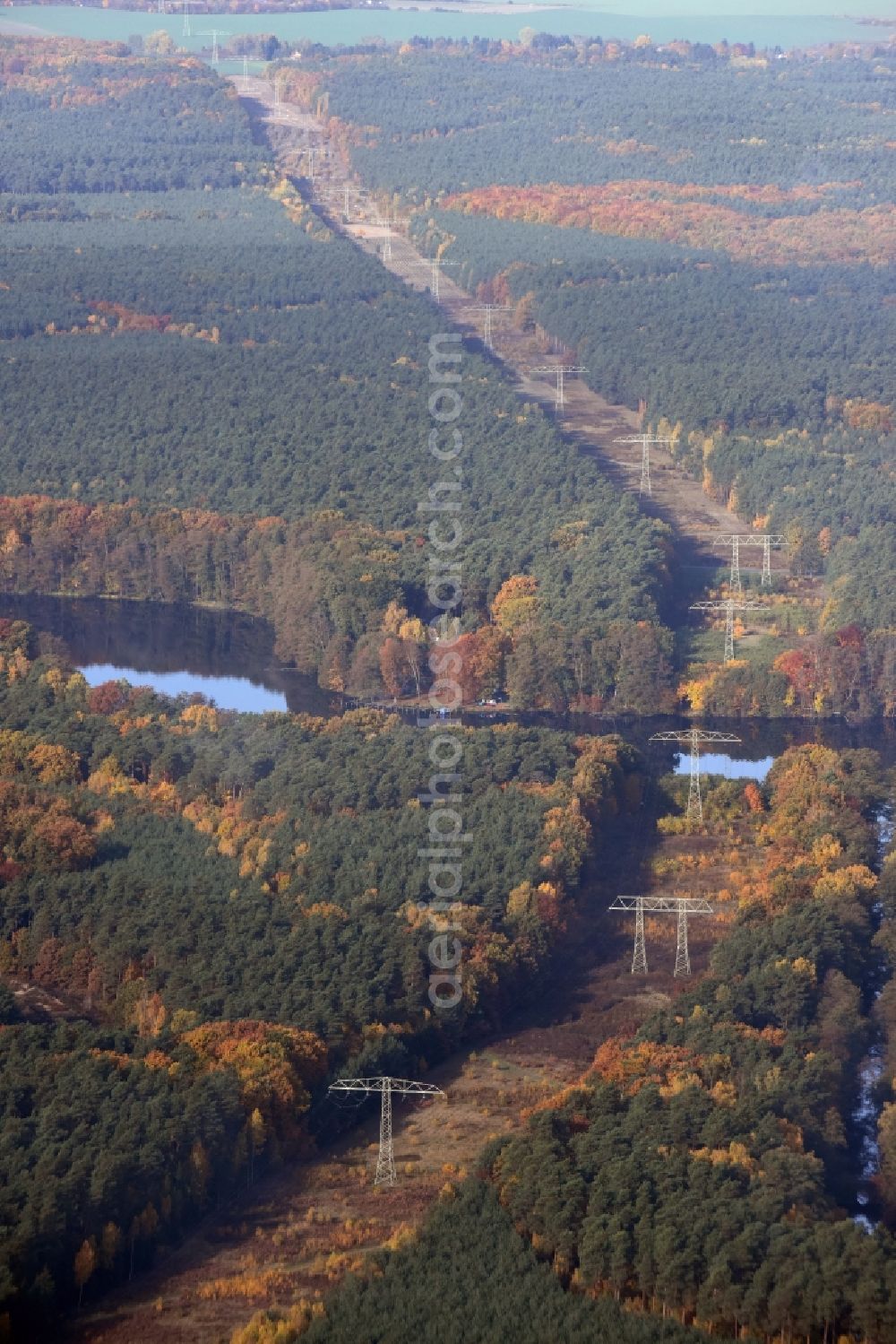 Aerial image Grünheide (Mark) - Current route of the power lines and pylons in Gruenheide (Mark) in the state Brandenburg