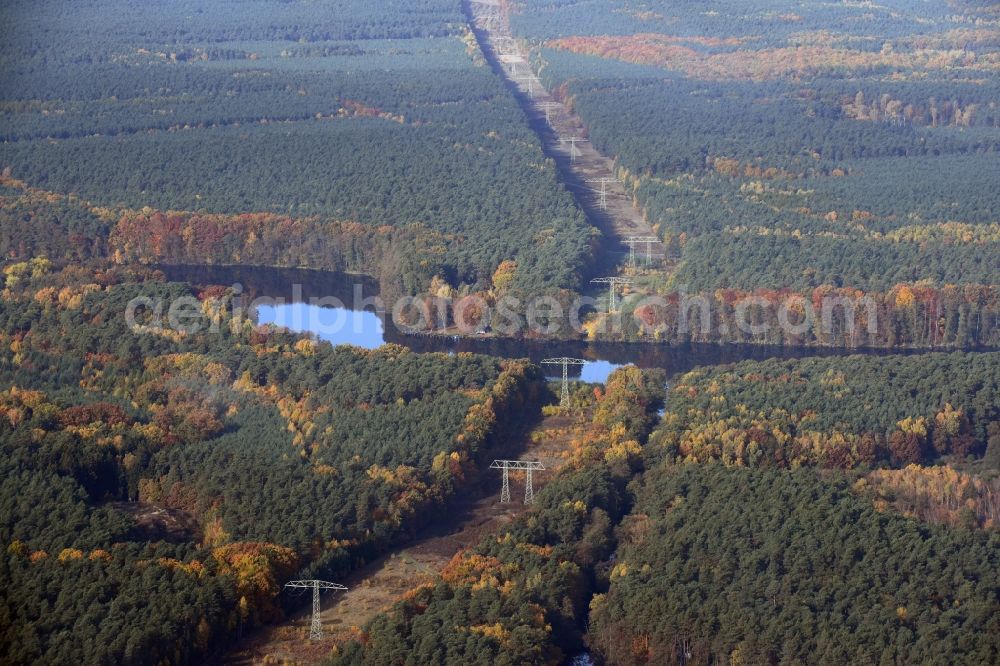 Aerial photograph Grünheide (Mark) - Current route of the power lines and pylons in Gruenheide (Mark) in the state Brandenburg