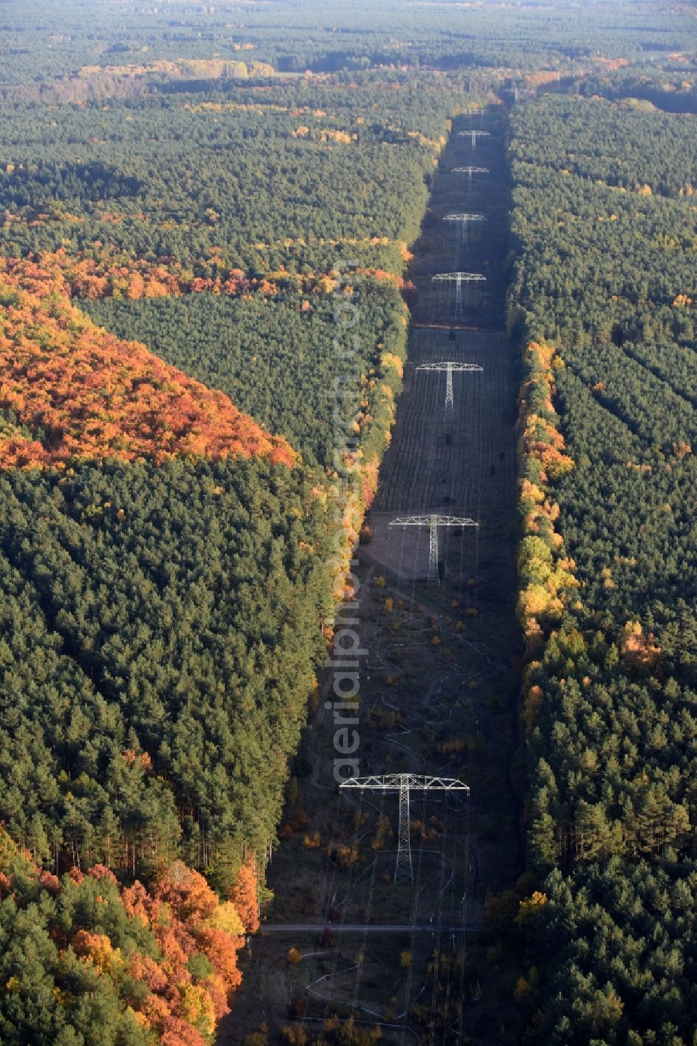 Aerial image Rüdersdorf - Current route of the power lines and pylons in Ruedersdorf in the state Brandenburg