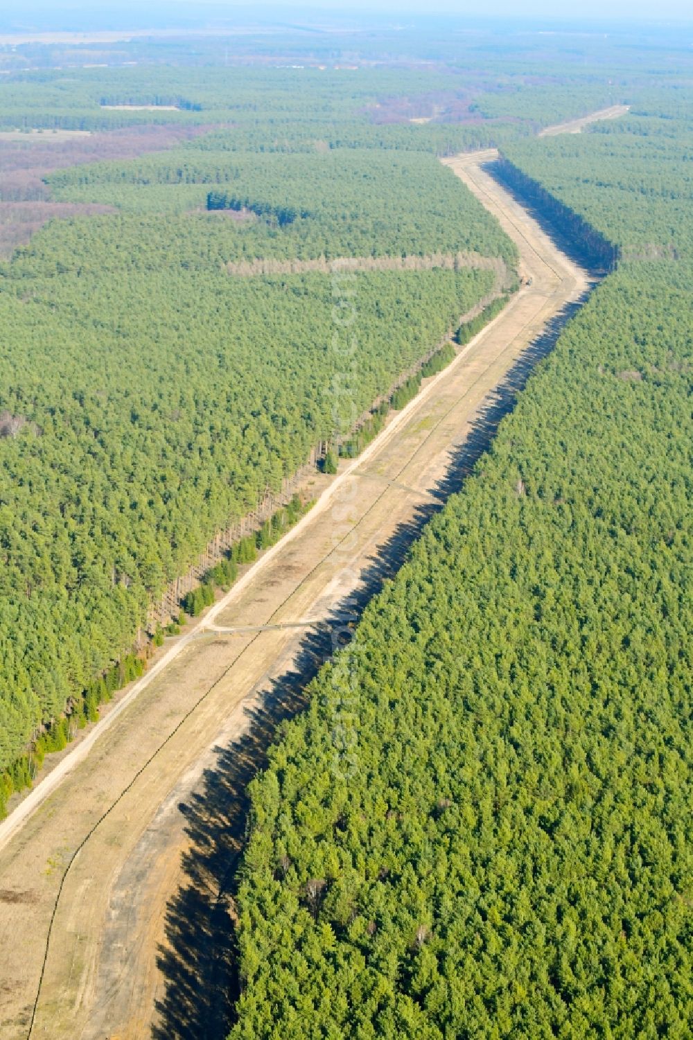 Grünheide (Mark) from above - Route of the underground gas pipes and power line route in the forest area near Gruenheide (Mark) in the state Brandenburg, Germany