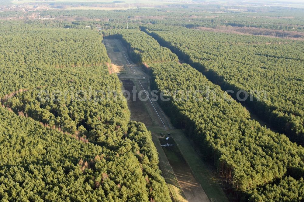 Briesen (Mark) from the bird's eye view: Strips in a wooded area in Briesen (Mark) in Brandenburg