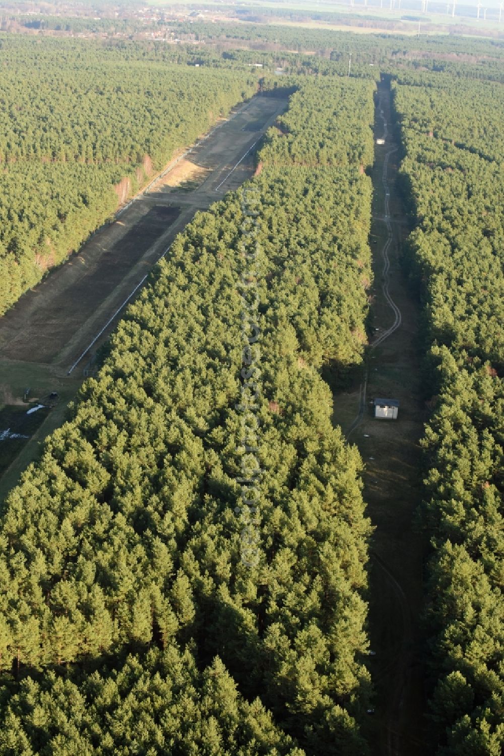 Briesen (Mark) from the bird's eye view: Strips in a wooded area in Briesen (Mark) in Brandenburg