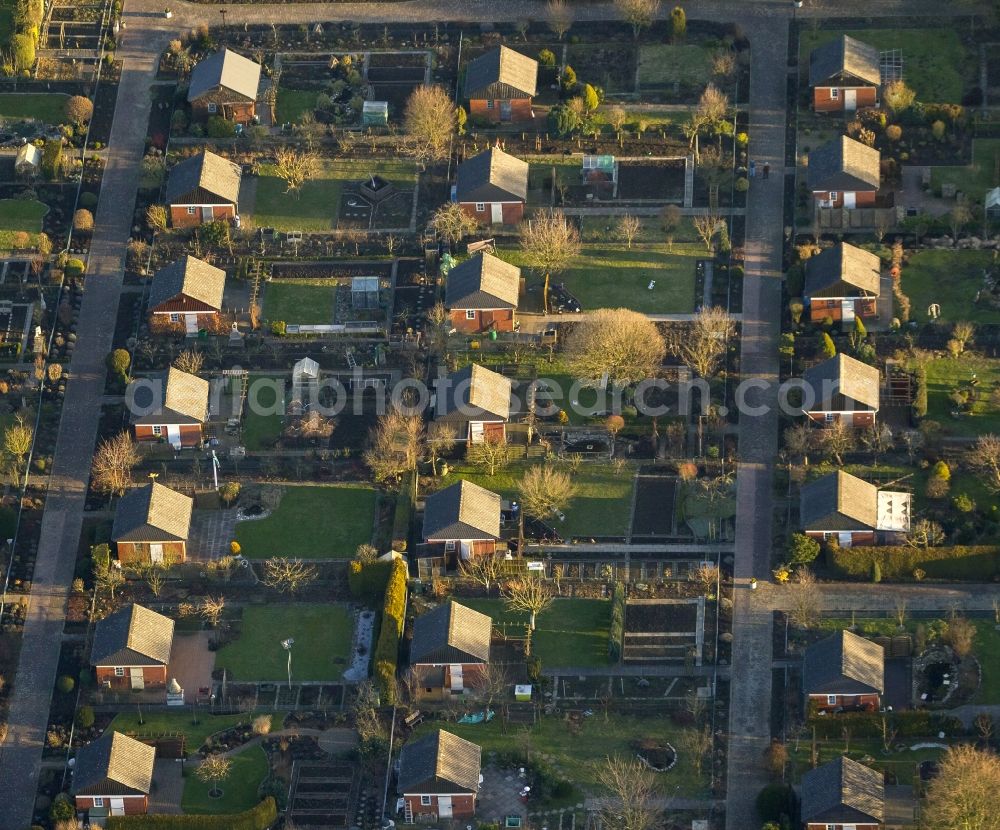 Hamm from the bird's eye view: Allotments - small gardens on Ahseufer in Hamm in North Rhine-Westphalia