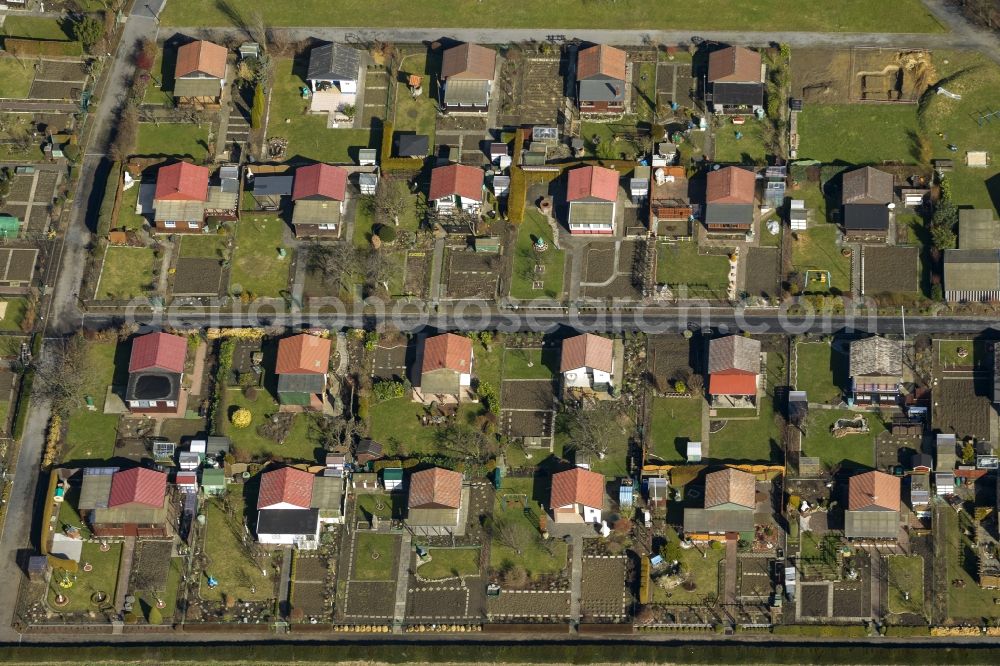 Aerial photograph Bönen - Allotments - small gardens on Nordkamp in Bönen in the state of North Rhine-Westphalia