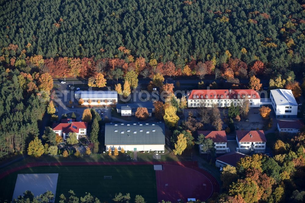 Aerial photograph Grünheide (Mark) - School building of the Docemus Privatschulen and the Philipp-Melanchthon-Gymnasium in Gruenheide (Mark) in the state Brandenburg