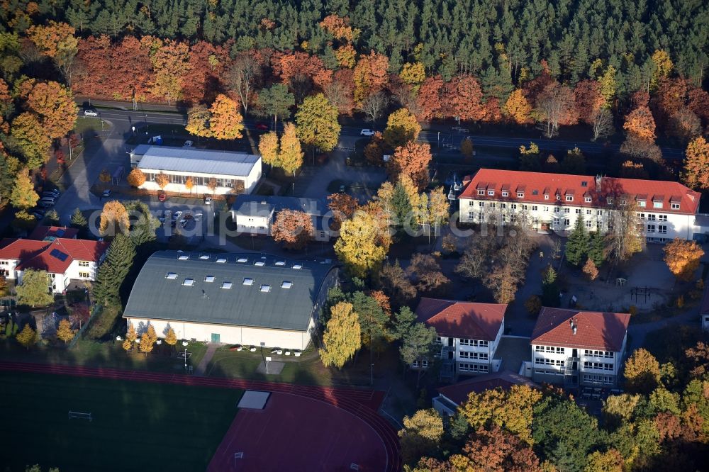 Grünheide (Mark) from above - School building of the Docemus Privatschulen and the Philipp-Melanchthon-Gymnasium in Gruenheide (Mark) in the state Brandenburg