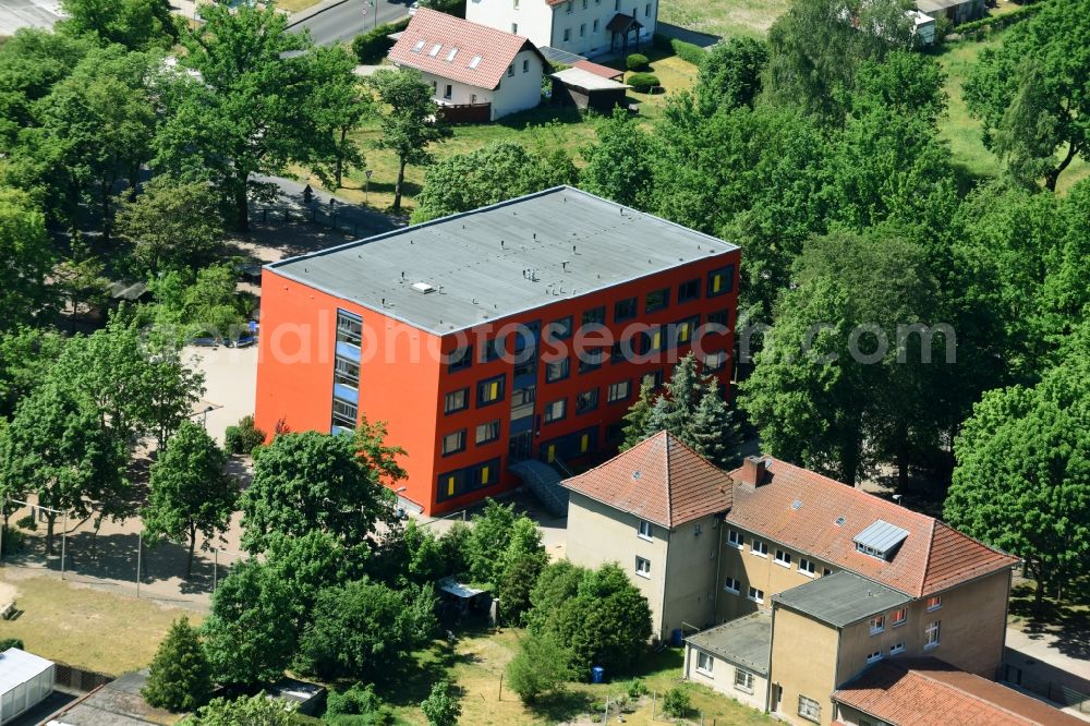 Damsdorf from above - School of the elementary school At the Fenn in village Dams in the federal state Brandenburg, Germany