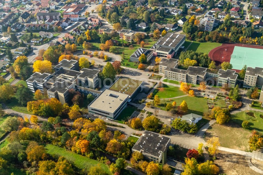 Ettenheim from the bird's eye view: School building of the Heimschule Sankt Landolin in Ettenheim in the state Baden-Wurttemberg, Germany