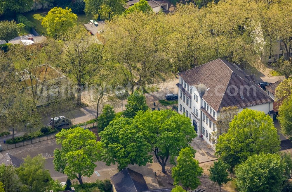 Gelsenkirchen from above - School building of the Lindenschule on Romanusstrasse in the district Buer in Gelsenkirchen at Ruhrgebiet in the state North Rhine-Westphalia, Germany