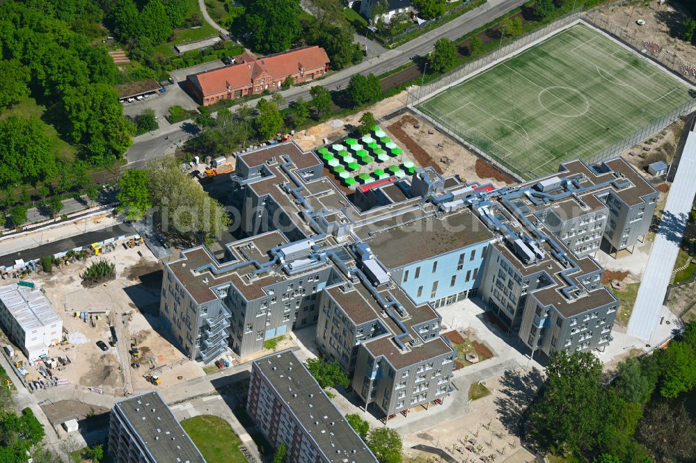 Berlin from the bird's eye view: New school building on Allee der Kosmonauten in the Lichtenberg district of Berlin, Germany