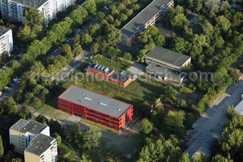 Berlin from above - School building of the Pusteblume Grundschule in Berlin