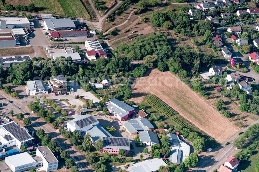 Offenburg from above - School building of the Waldorf School Offenburg on Moltkestrasse in the district Rammersweier in Offenburg in the state Baden-Wurttemberg, Germany