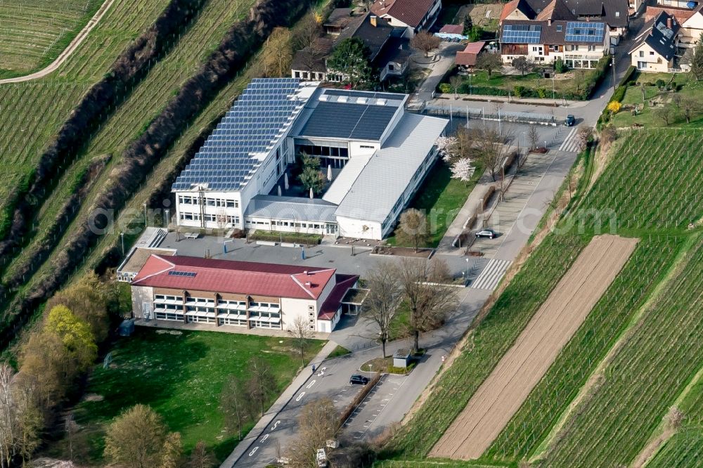 Vogtsburg im Kaiserstuhl from the bird's eye view: School building of the Wilhelm Hildenbrand Schule in Vogtsburg im Kaiserstuhl in the state Baden-Wuerttemberg, Germany