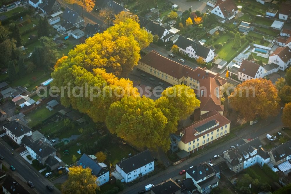 Gladbeck from the bird's eye view: School grounds and buildings of the autumnal Pestalozzi-School in Gladbeck in the state of North Rhine-Westphalia