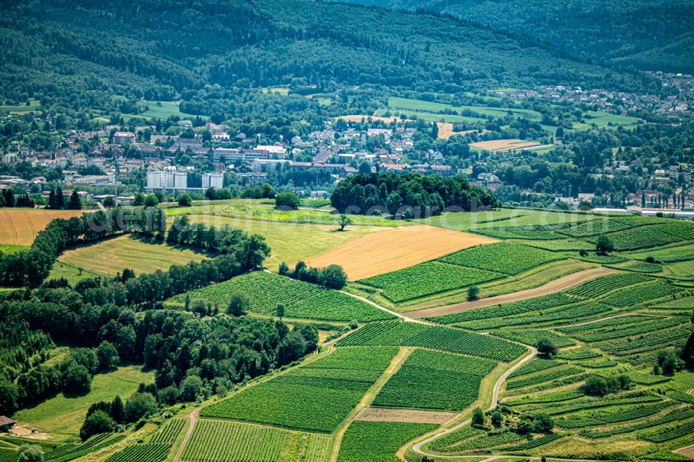 Lahr/Schwarzwald from the bird's eye view: Fields of wine cultivation landscape in Lahr/Schwarzwald in the state Baden-Wurttemberg, Germany