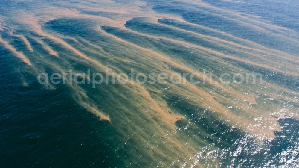 Aerial image Sassnitz - Floating carpet with layers of algae and seaweed on the water surface of Baltic Sea in Sassnitz in the state Mecklenburg - Western Pomerania, Germany