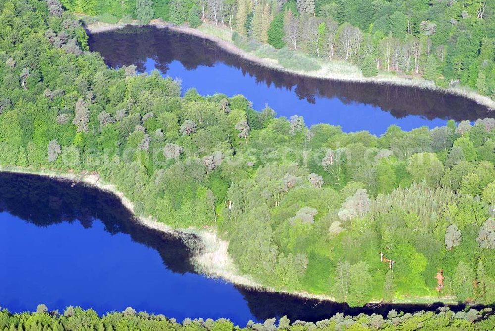 Carpin from the bird's eye view: Blick auf den Schweingartensee in Carpin. Der Schweingartensee ist ein See in der Gemeinde Carpin im Landkreis Mecklenburg-Strelitz. Das Gewässer ist sehr stark gegliedert. Es gibt einen breiteren, durch drei Halbinseln geteilten, Südteil und einen schmaleren Nordteil mit einer größeren Insel im Norden. Der See hat eine Nord-Süd-Ausdehnung von etwa 2200 Metern und eine maximale West-Ost-Ausdehnung von etwa 600 Metern. Das Seeufer und dessen weitere Umgebung sind bewaldet. Der See liegt im östlichen Teil des Nationalparkes Müritz. Der Name des Sees lässt sich von der hier früher üblicher Schweinemast (Hutung) in den Wäldern um den See herleiten.