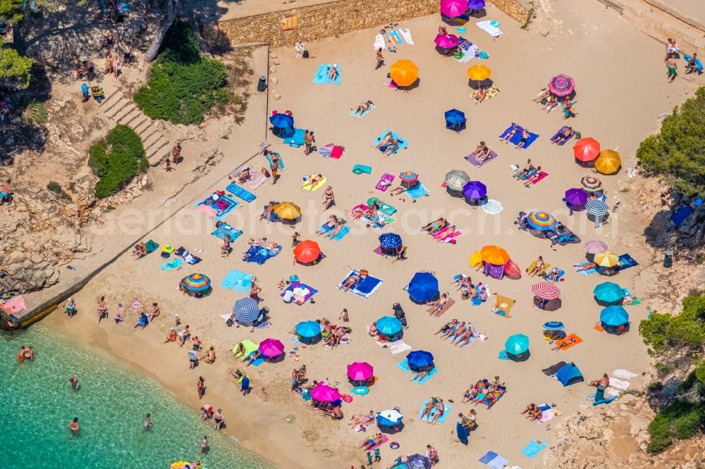 Aerial image Cala D'or - Refreshing swim in the blue pool - swimming pool of Hotel Robinson Cala Serena in Cala D'or in Balearic island of Mallorca, Spain