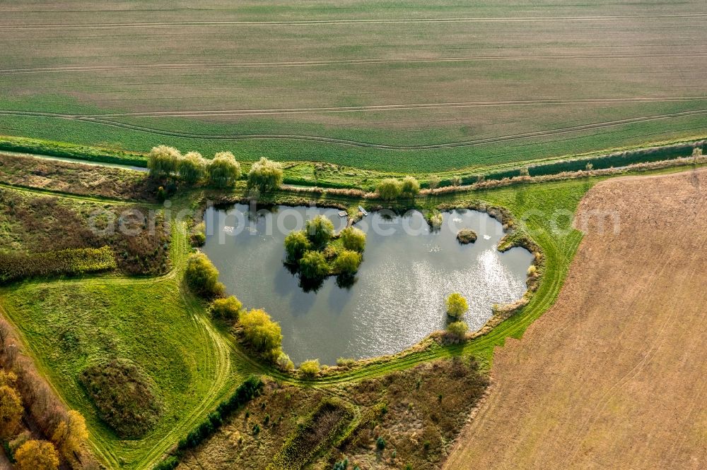 Aerial image Göhren-Lebbin - View of a lake in Goehren-Lebbin in the state Mecklenburg-West Pomerania