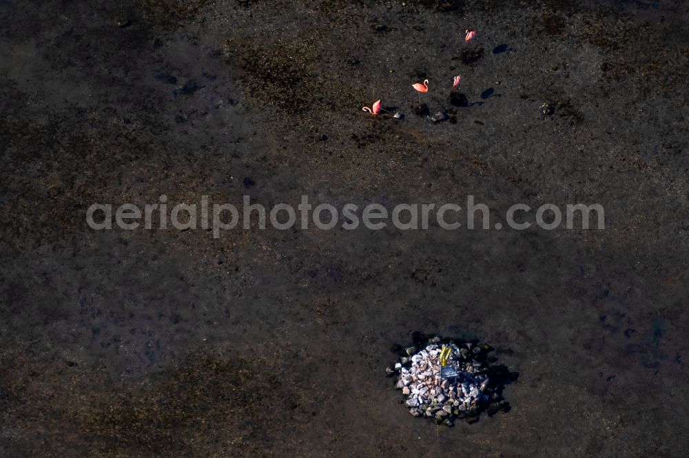 Aerial image Leipzig - Lake island with mailbox for water tourists on the Cospudener See in the district Suedwest in Leipzig in the state Saxony, Germany