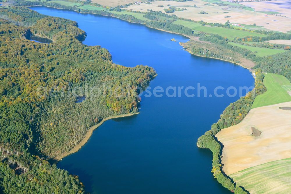 Aerial photograph Boitzenburger Land - Lake Island Haussee in Boitzenburger Land in the state Brandenburg, Germany