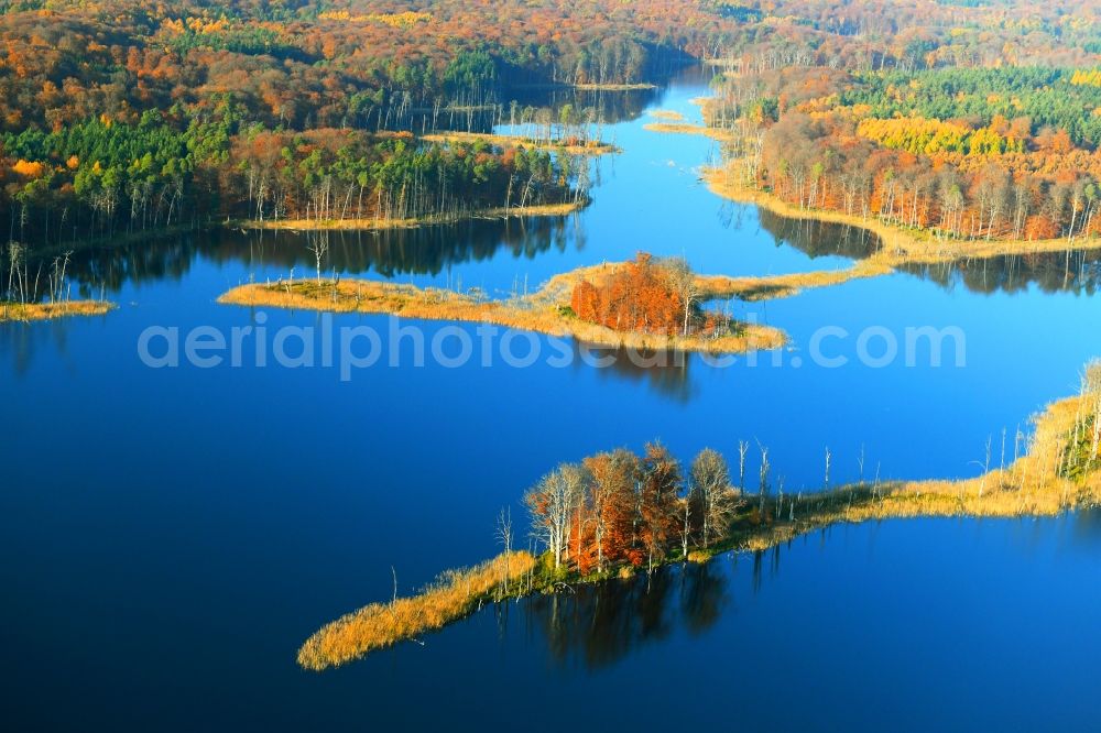 Aerial image Hohenzieritz - Lake Island on the Schweingartensee in Hohenzieritz in the state Mecklenburg - Western Pomerania, Germany