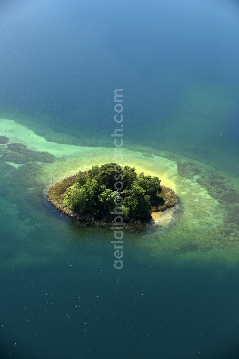 Aerial image Heimland - Lake Island on the See Grosser Wummsee in Heimland in the state Brandenburg