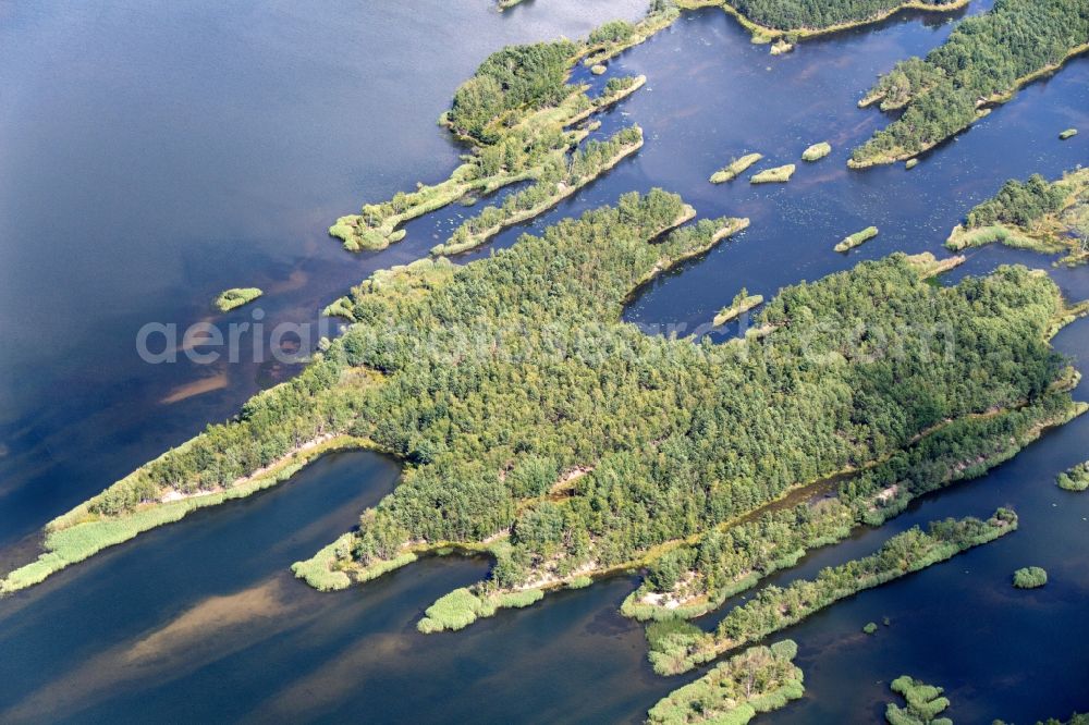 Senftenberg from the bird's eye view: Lake Island on the Senftenberger See in Senftenberg in the state Brandenburg