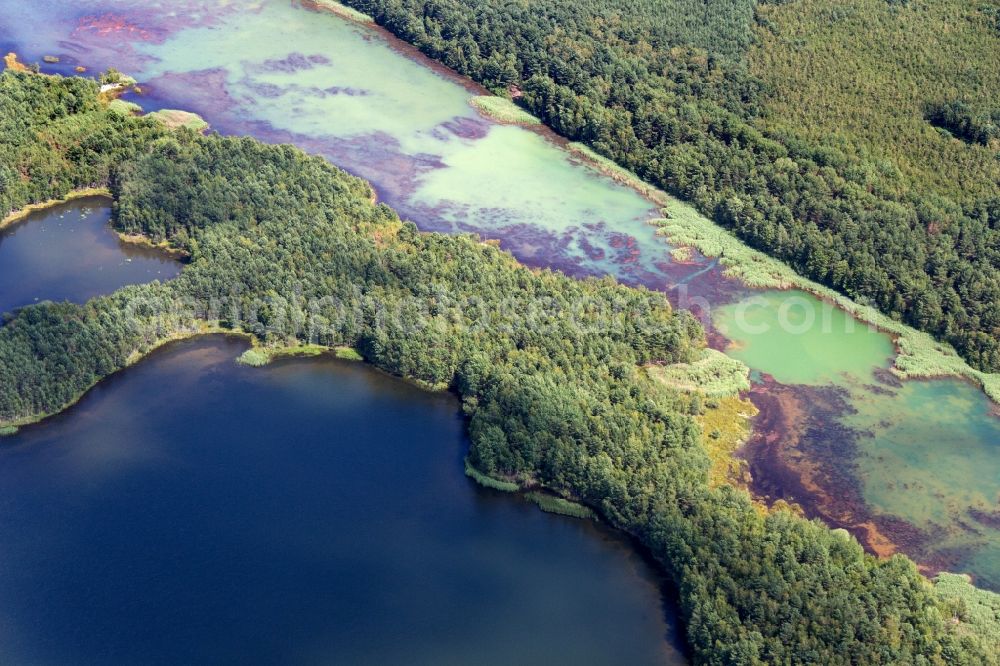 Aerial image Senftenberg - Lake Island on the Senftenberger See in Senftenberg in the state Brandenburg