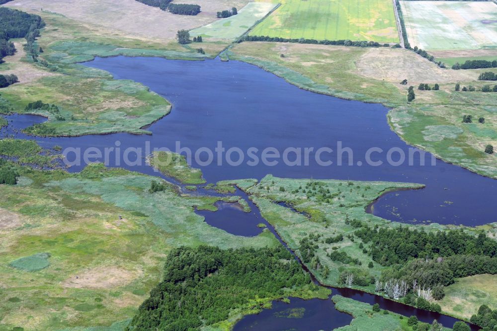 Rieben from above - Lake Island Stangenhagener Polder in Rieben in the state Brandenburg, Germany