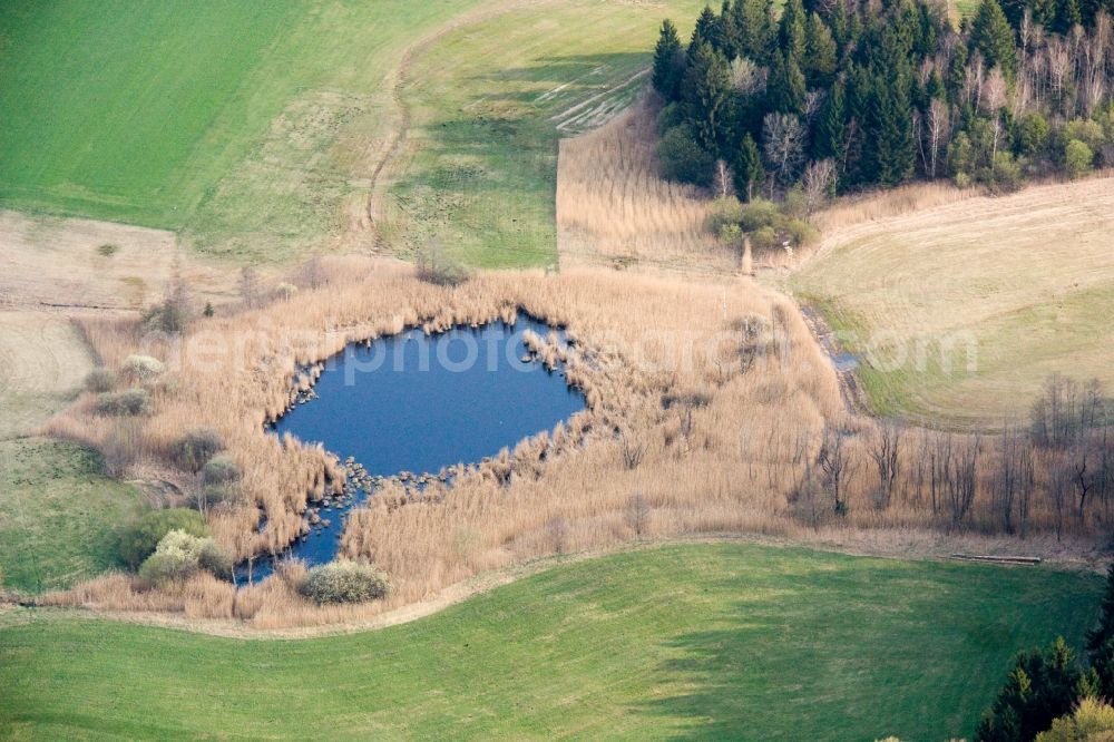 Aerial image Andechs - Shores of Lake Seachtn in Andechs in the state Bavaria