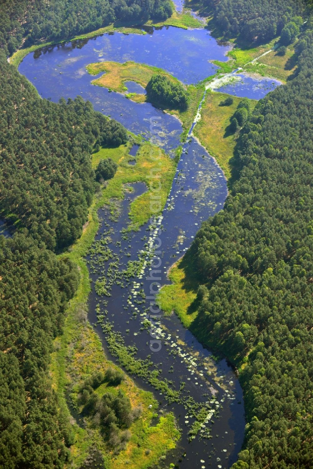 Birkholz from above - Lake-pond in a wooded area near Birkholz in Brandenburg