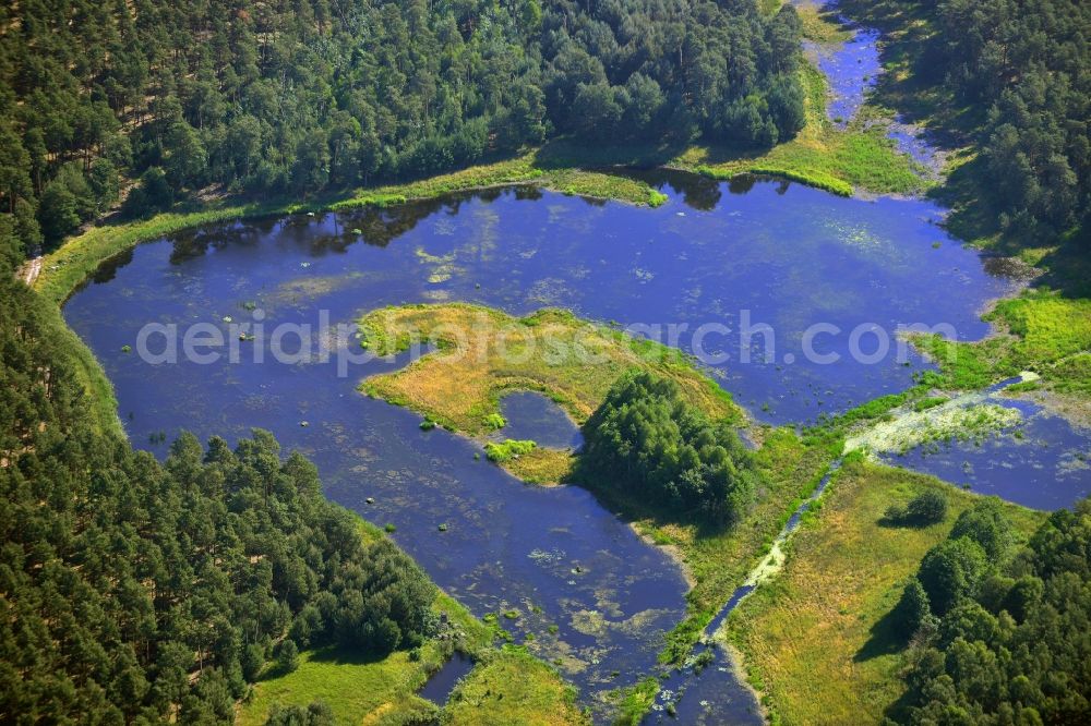 Birkholz from the bird's eye view: Lake-pond in a wooded area near Birkholz in Brandenburg